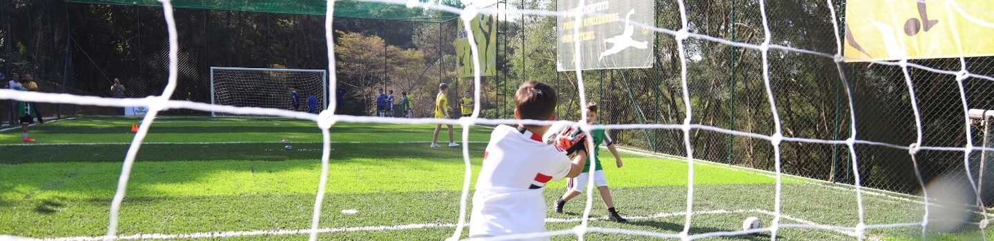 Evolução da função do goleiro no futebol