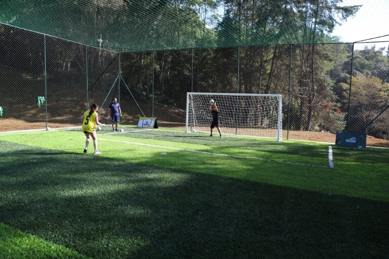 Evolução da função do goleiro no futebol